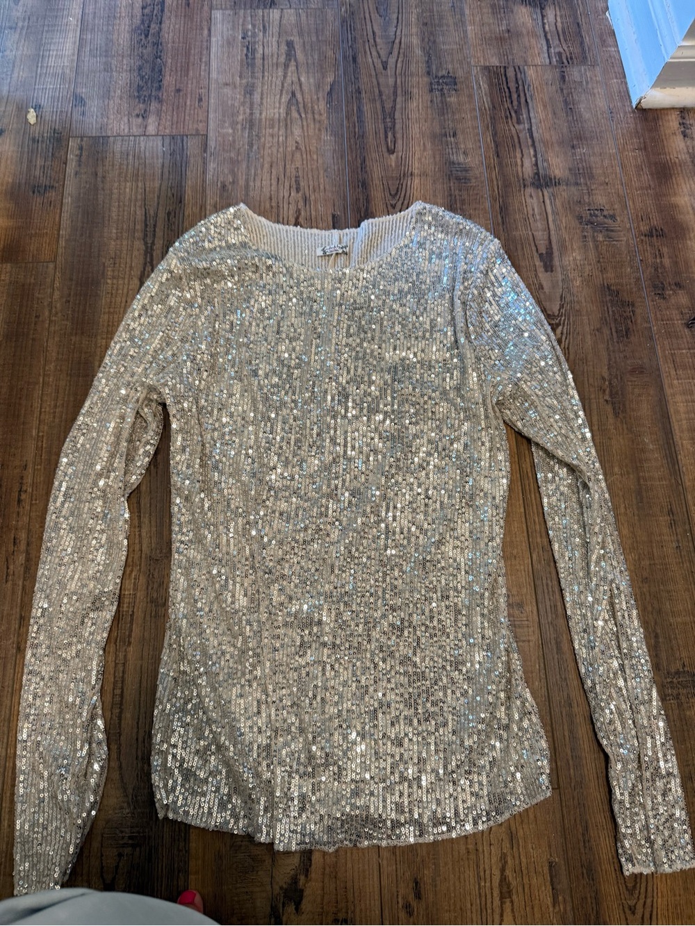 Free People Silver Sequin Long Sleeve Top